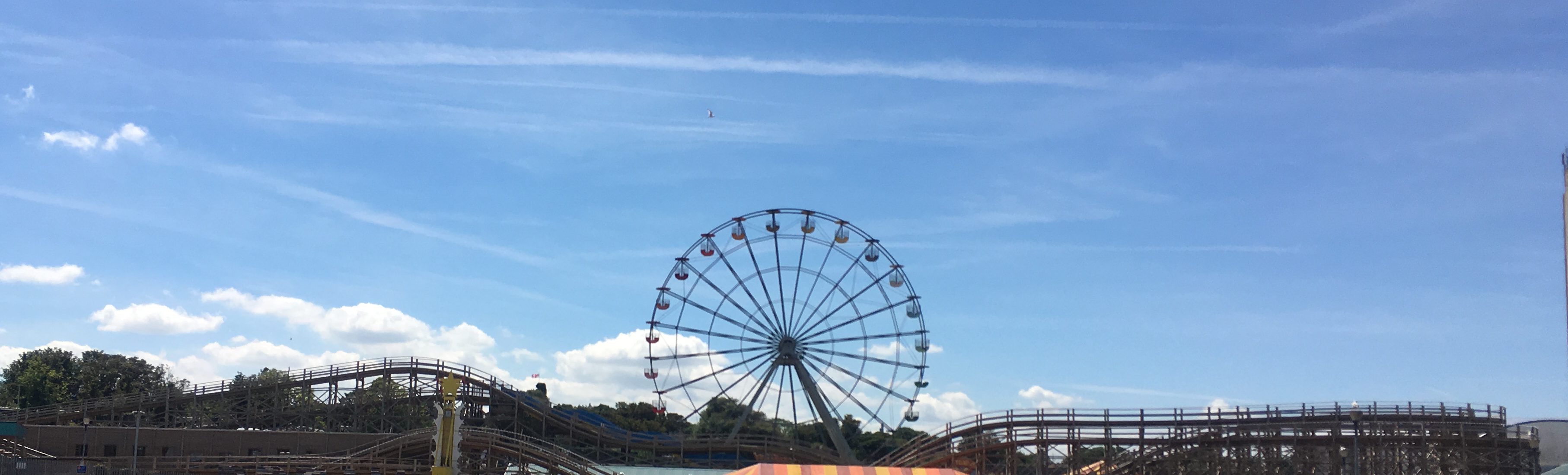 Visiting Home Pt I: Reunions and&nbsp;Celebrations