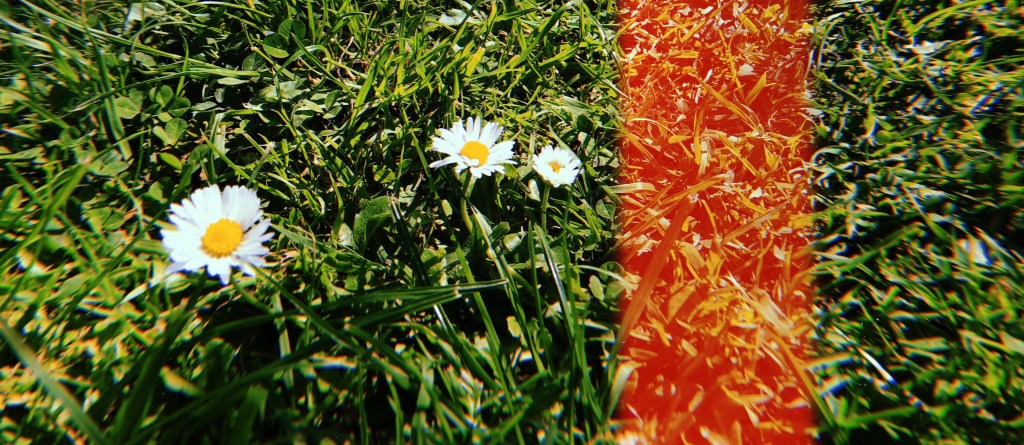 HUJI: Love or&nbsp;Hate?