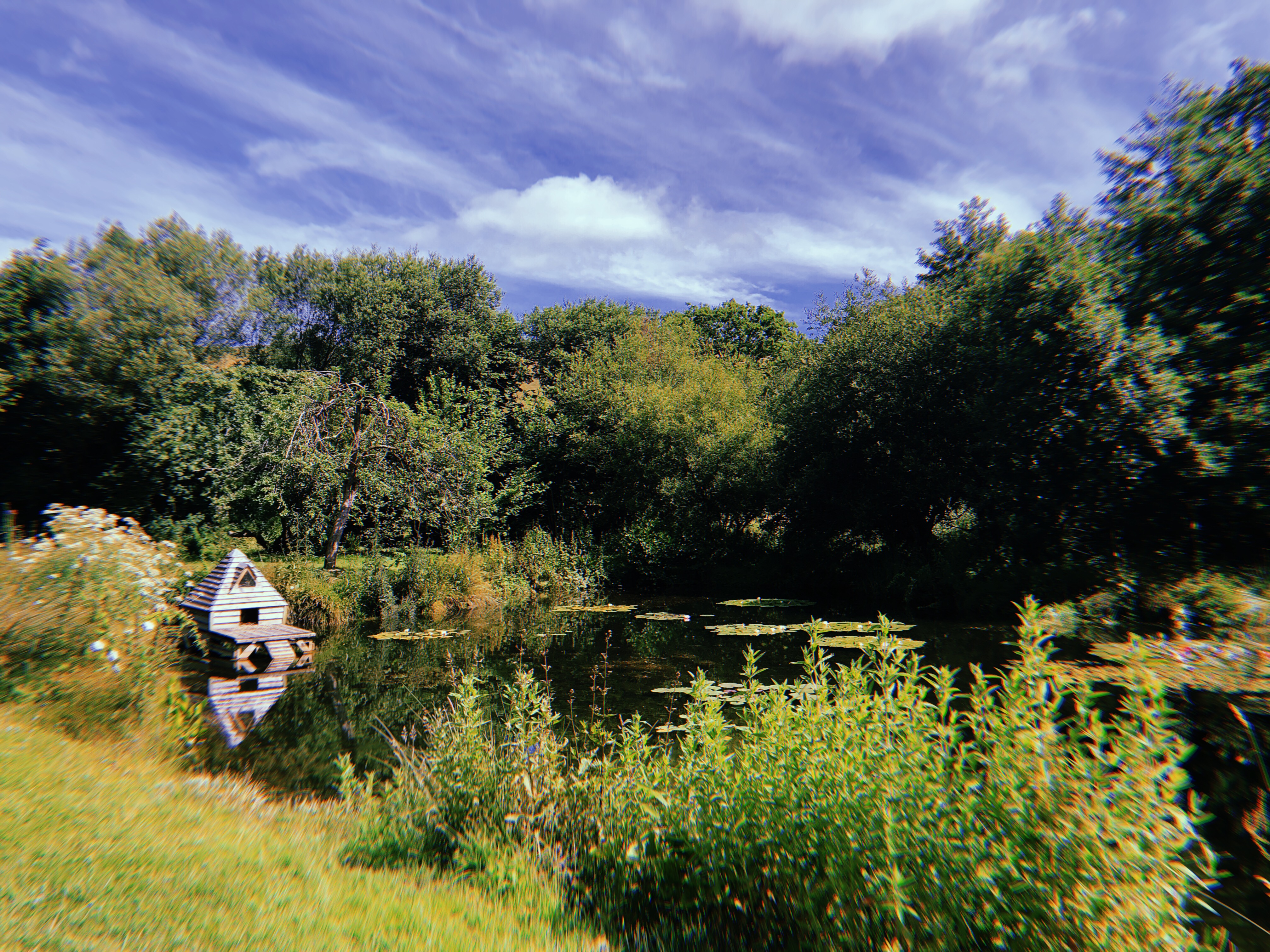 7B04A8B7-B691-41FD-86C7-1B8C37667565