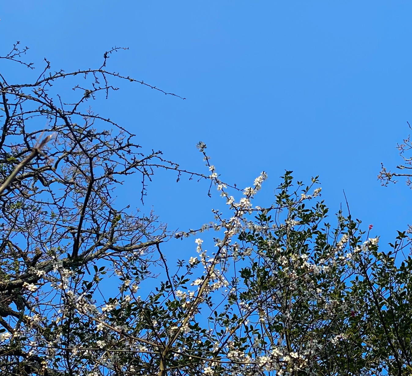 Oh, What a Month March Has&nbsp;Been