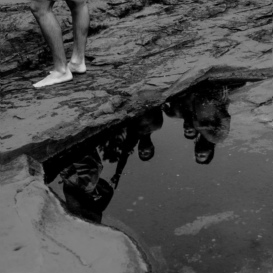 The Last Dinosaur – Wholeness: A Profound & Personal&nbsp;Journey