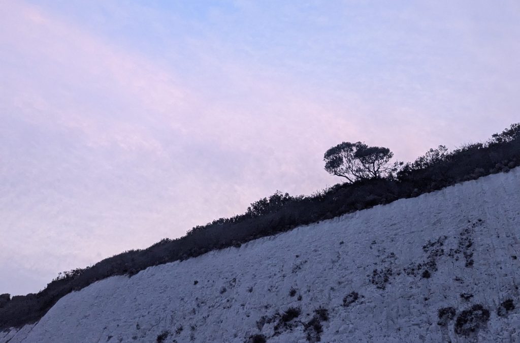 A Little Seasonal Catch&nbsp;Up